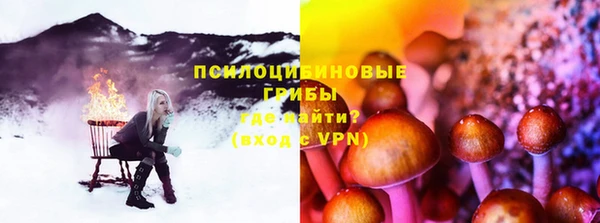 прущие крисы Белокуриха